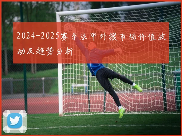 2024-2025赛季法甲外援市场价值波动及趋势分析