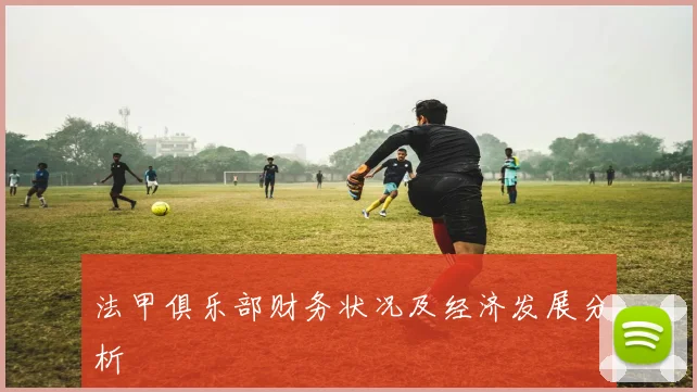 法甲俱乐部财务状况及经济发展分析